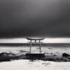 Torii Gate, Study 1, Shosanbetsu, Hokkaido, Japan. 2004