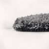 White Copse, Study 1, Wakkanai, Hokkaido, Japan. 2004